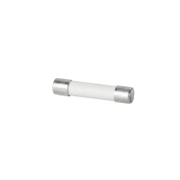 FUSE, 2 AMP 25 X 5MM,