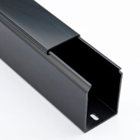 DUCTING, BETADUCT PLAIN 50H X 25W, BLACK