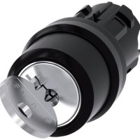 KEY-OPERATED SWITCH, 22MM PLASTIC