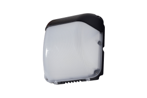 FALCON WALL LIGHT 50W 5500K IP65 BLACK BACK WIRE ENTRY